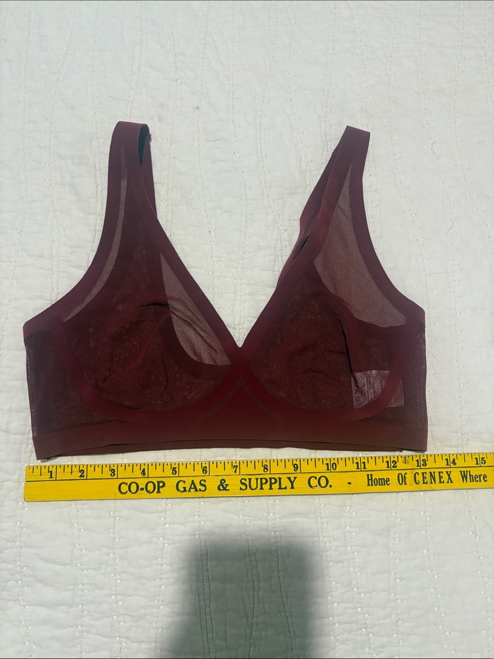 Mesh EBY Bra in Wine